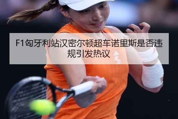 F1匈牙利站汉密尔顿超车诺里斯是否违规引发热议